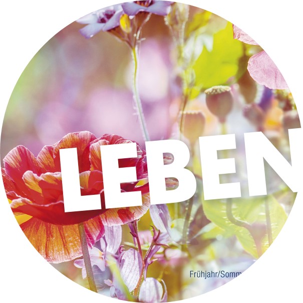Titelbild vhs Heft mit bunten Mohnblüten und Aufschrift "Leben"