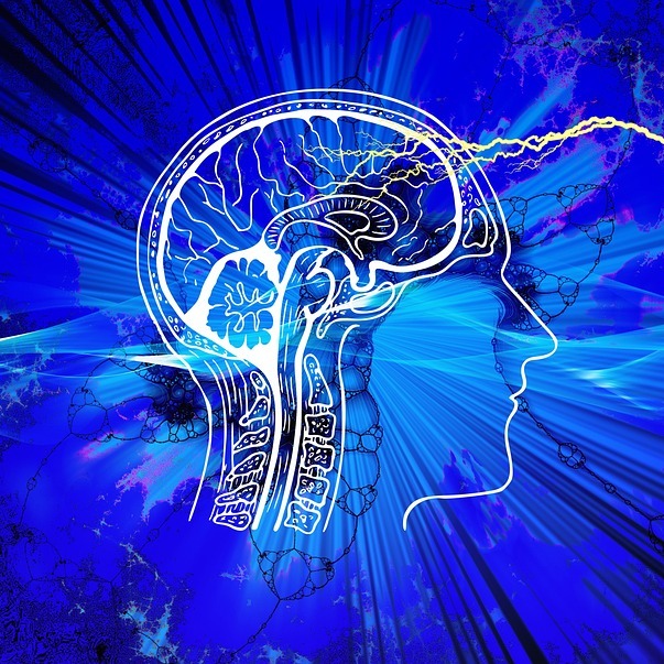 Öffnet die Seite 'Vortrag: KI - Künstliche Intelligenz- was geht uns das an?'